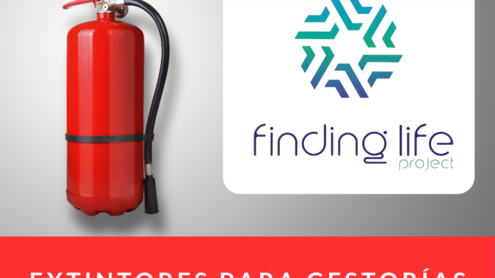 extintor para gestoróa